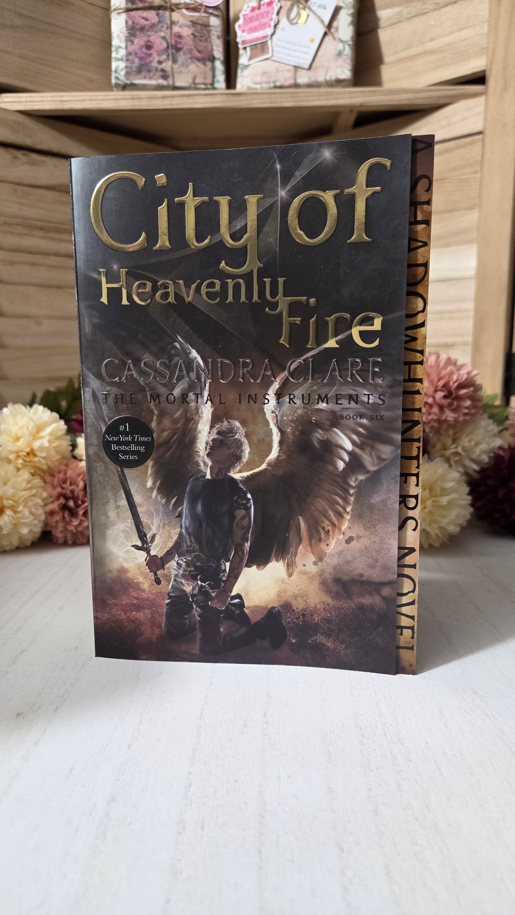 The Mortal Instruments Collector's Paperback Set (Books 1–6) | Matching Spine Artwork
