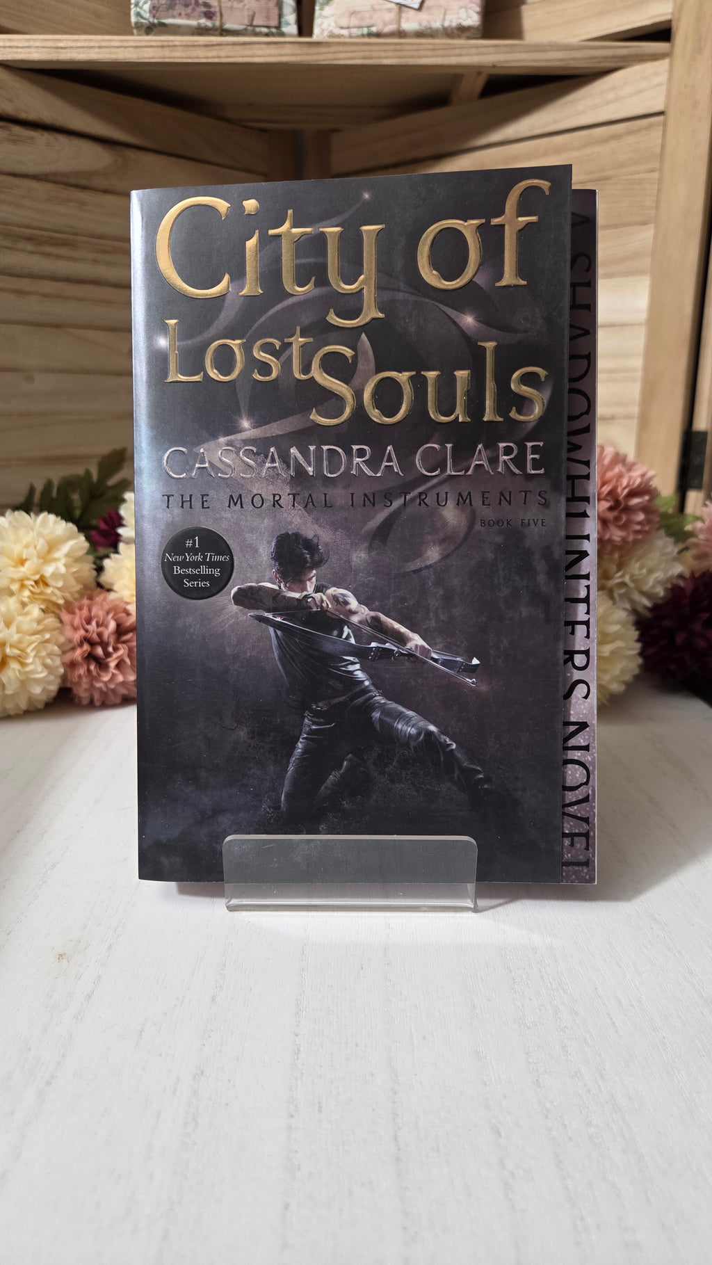 The Mortal Instruments Collector's Paperback Set (Books 1–6) | Matching Spine Artwork