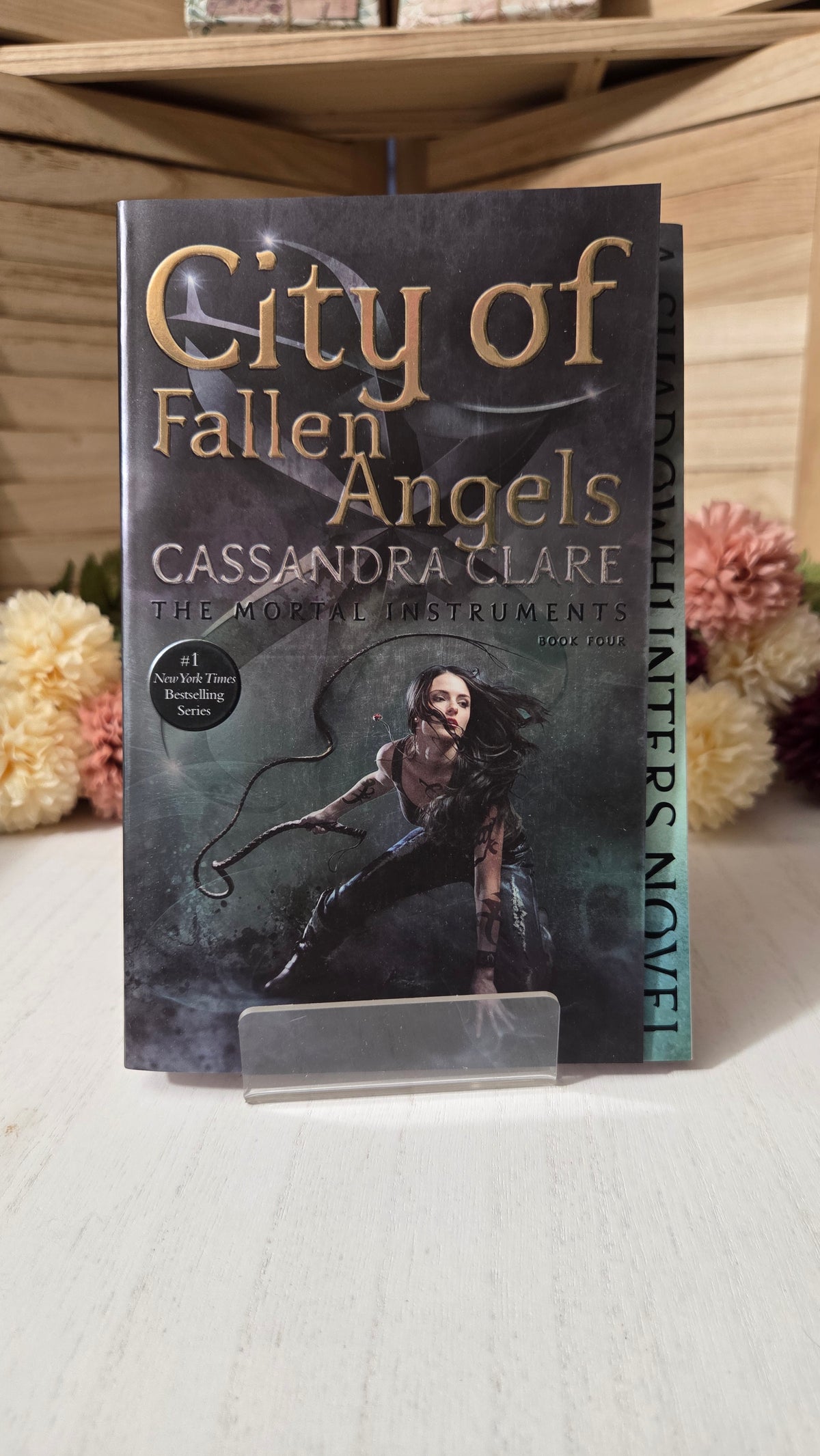 The Mortal Instruments Collector's Paperback Set (Books 1–6) | Matching Spine Artwork