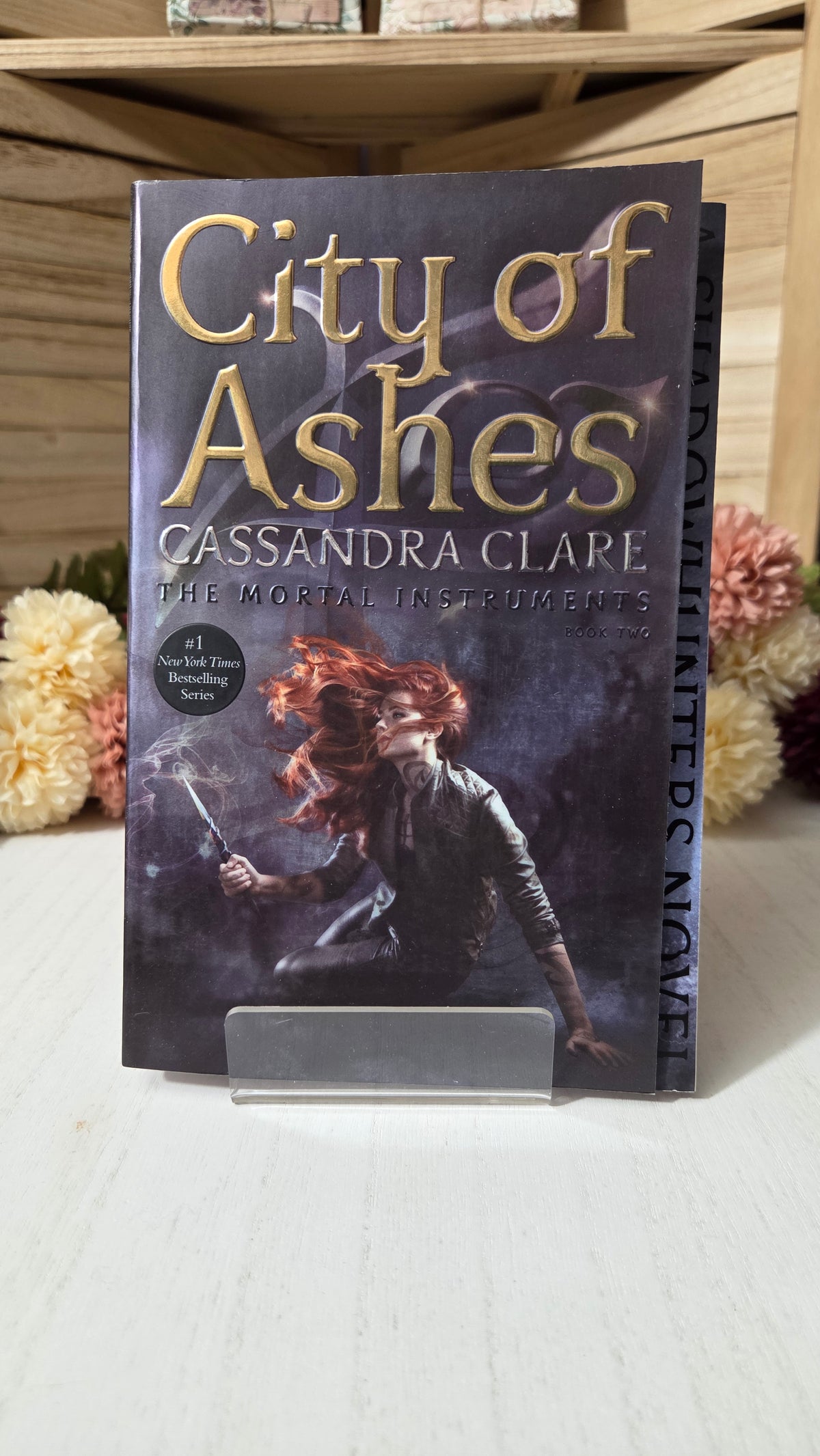 The Mortal Instruments Collector's Paperback Set (Books 1–6) | Matching Spine Artwork