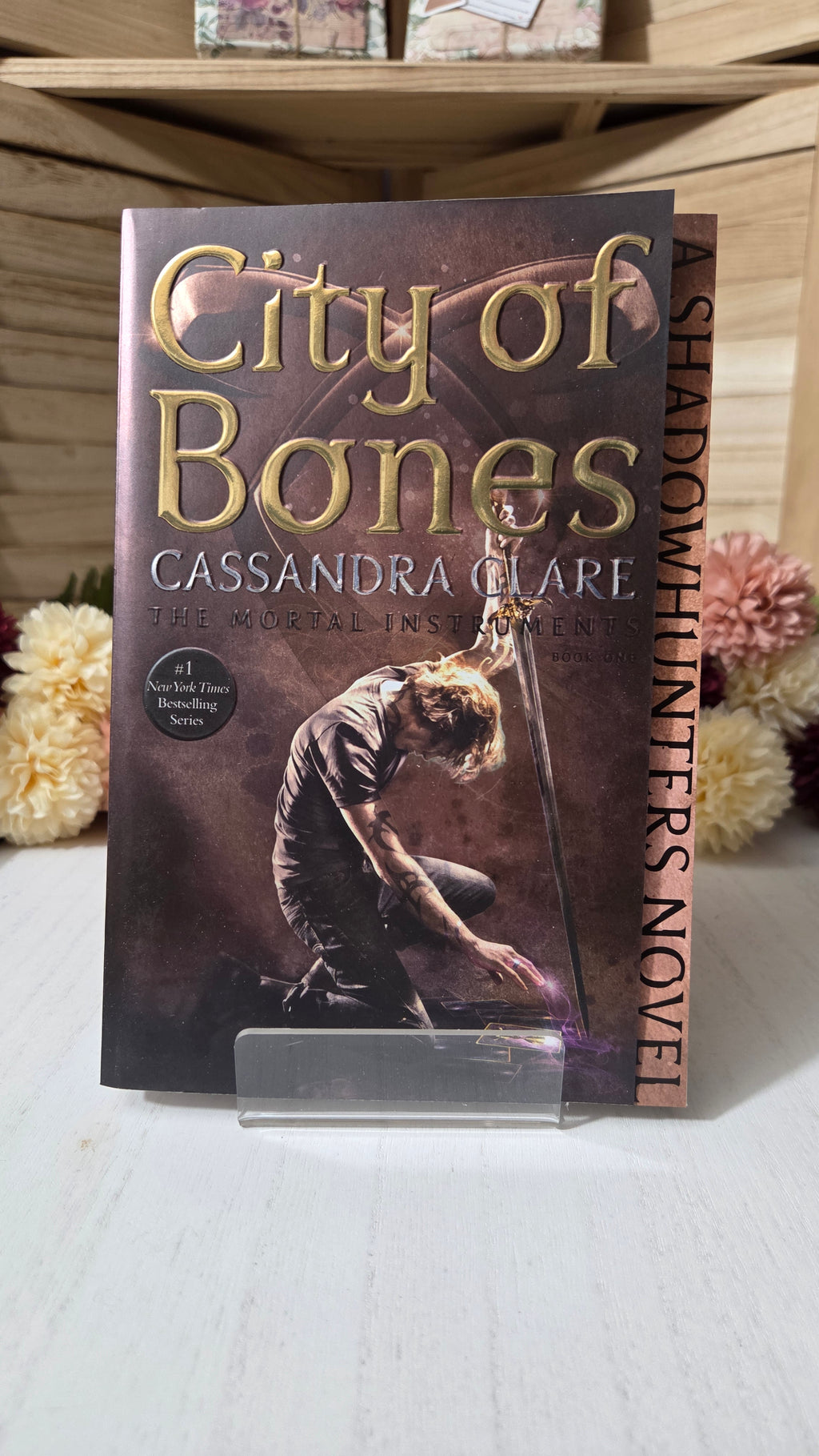 The Mortal Instruments Collector's Paperback Set (Books 1–6) | Matching Spine Artwork