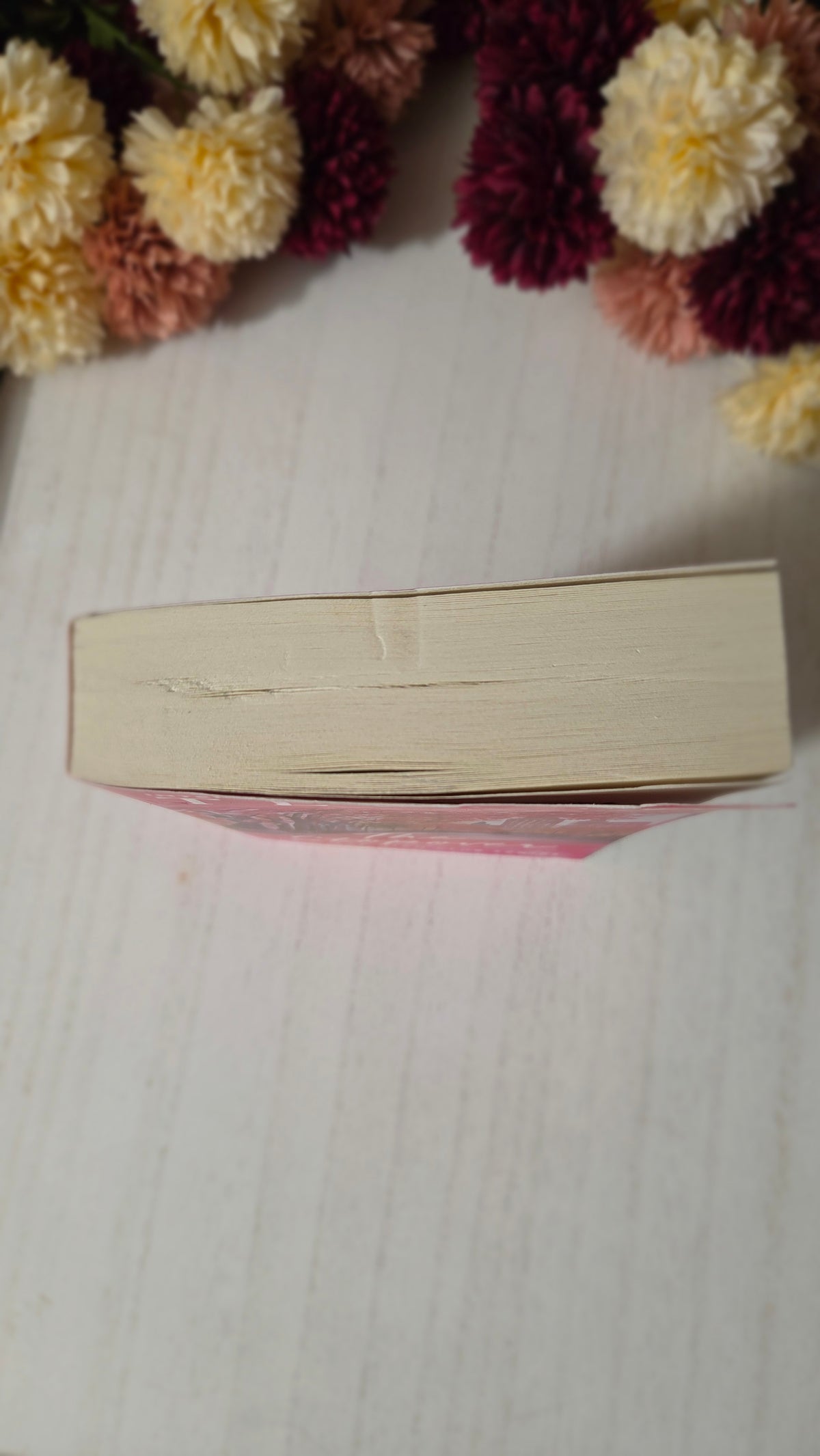 The Stopover | Imperfect Shelf Copy