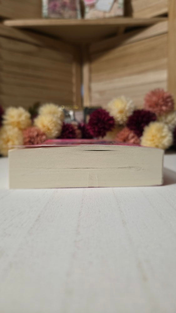 The Stopover | Imperfect Shelf Copy