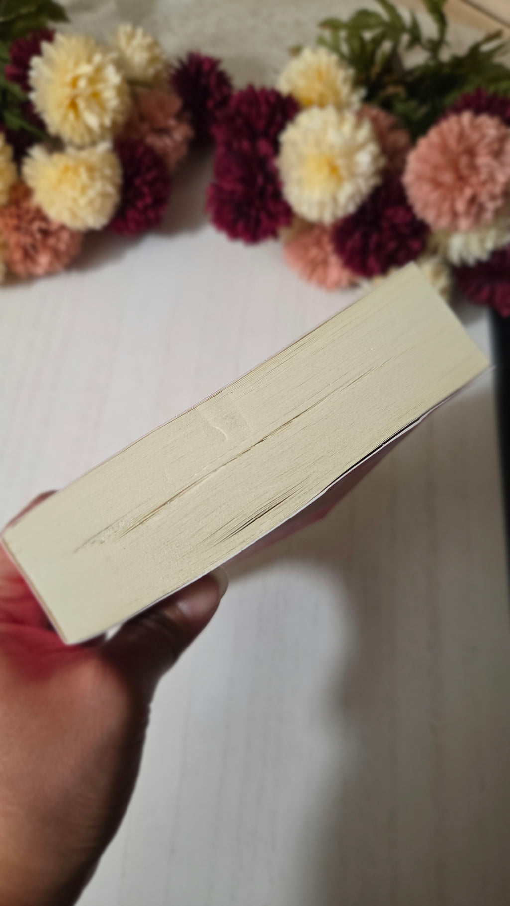 The Stopover | Imperfect Shelf Copy