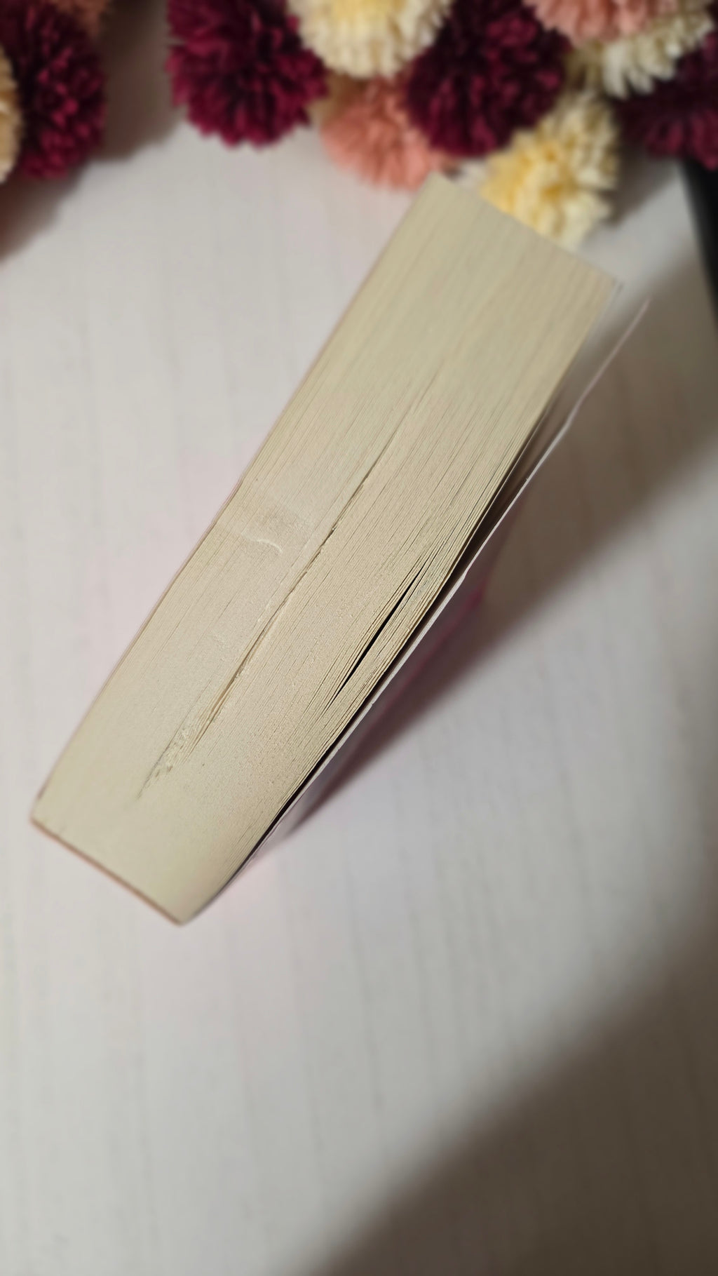 The Stopover | Imperfect Shelf Copy