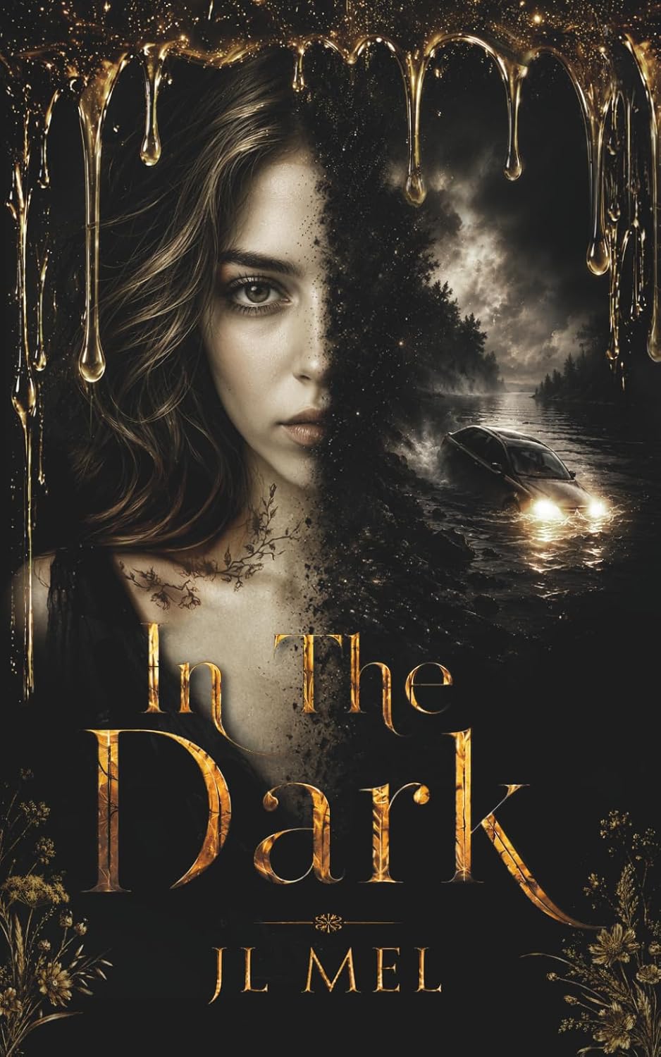 In The Dark (Author Signed) : JL Mel